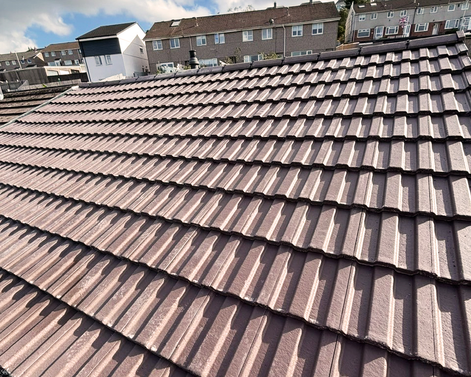 Roof Replacement in Lipson, Plymouth